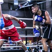 Experimentado boxeador que ofrece sus conocimientos para personas que quieran aprender este deporte de contacto y para su defensa personal